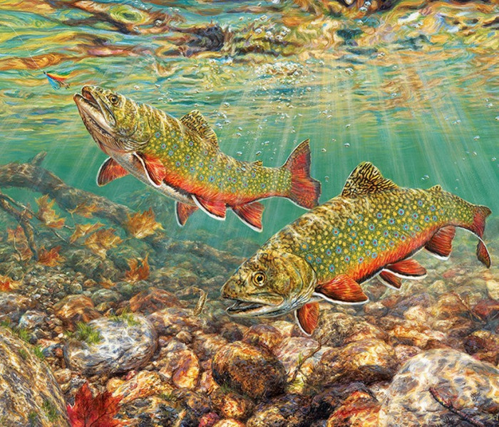 Puzzle - Cobble Hill - Sebes pisztráng